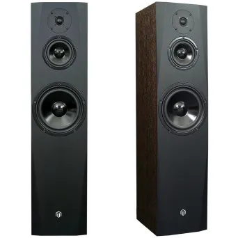 Pylon Audio Sapphire 31 - TRANSPORT GRATIS - 30 rat 0 procent lub rabat - kolor czarny i inne - cena za 1 szt